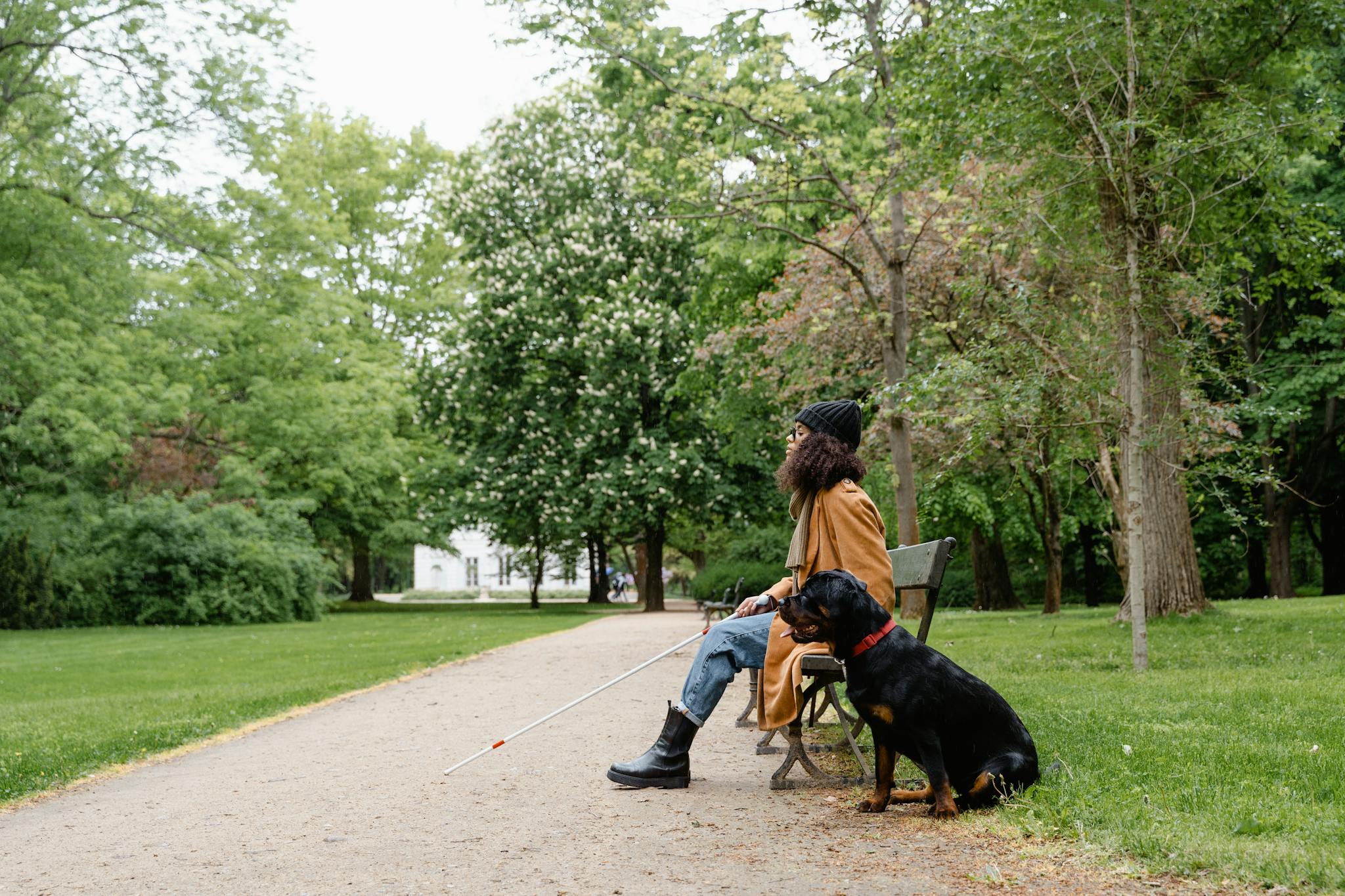A woman with a guide dog and white cane sits on a park bench, embodying companionship.